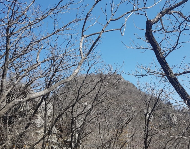  [다이어트] 치악산 등산으로 유무산소 운동을 한 번에 해내다