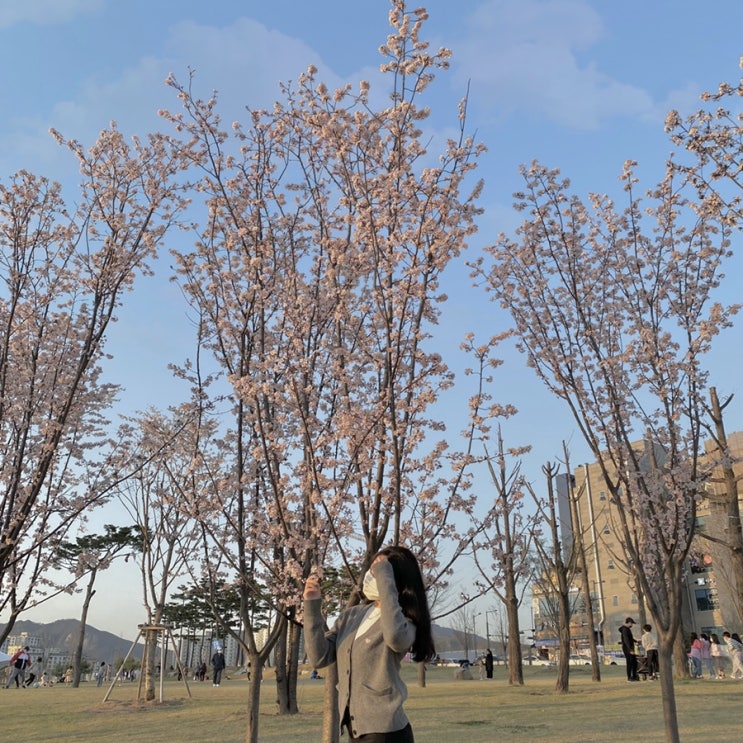  일상_ Record (3)