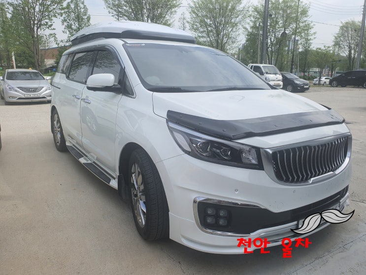  올뉴,더뉴카니발 교토 루프박스 오토하임 루프박스 장착