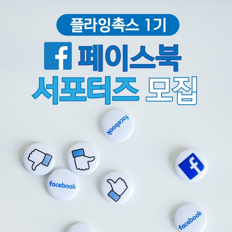 [청소년/대학생 대외활동 추천] 플라잉촉스 1기