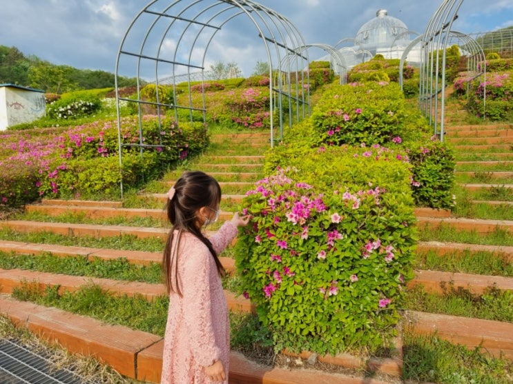  [전주 양묘장/자연생태학습원-지금, 아이와 가볼만한 곳]  소문나지않은 전주 꽃구경