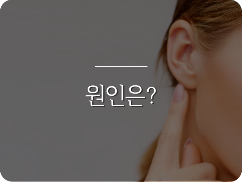 귀 뚫은 곳 부었을 때 원인, 몽우리 표피낭종 지속된다면 흉터가? : 네이버 블로그