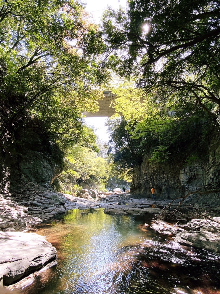  제주 서귀포 안덕면 산책하기 좋은 숨은 비경—생태공원 안덕계곡(한복 사진찍는 웨딩사진 포인트)