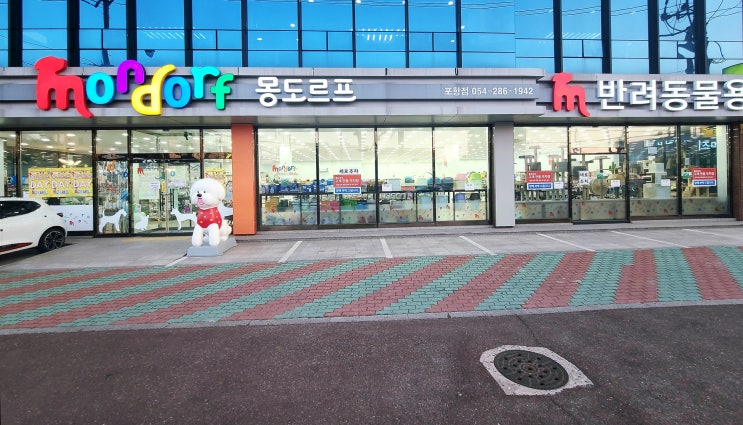  포항애견용품 : 믿을 수 있는 반려동물용품 백화점 : 몽도르프포항점 : 포항고양이용품