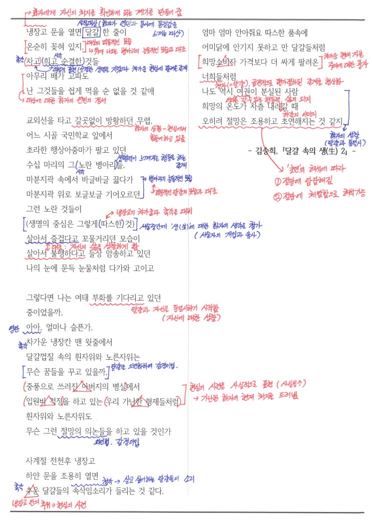 달걀 속의 생(生)2 - 김승희, 해석 / 해설 / 분석