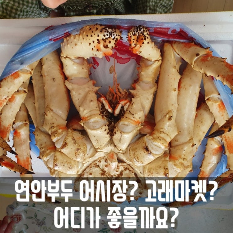  인천 연안부두 고래마켓? 어시장? 킹크랩 쪄왔어요! (꽃게, 랍스타, 대게 시세)