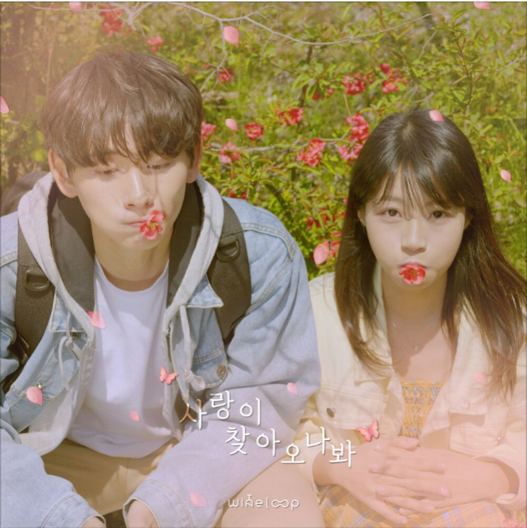  와인루프 (Wine Loop) – 사랑이 찾아오나 봐 [노래듣기/가사/M.V]