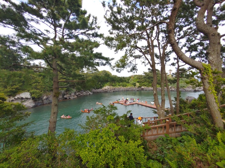  [제주도] 쇠소깍 바다낚시 / 쇠소깍 테우, 전통 나룻배, 카약 예약 / 주차장 정보까지 한 번에!?