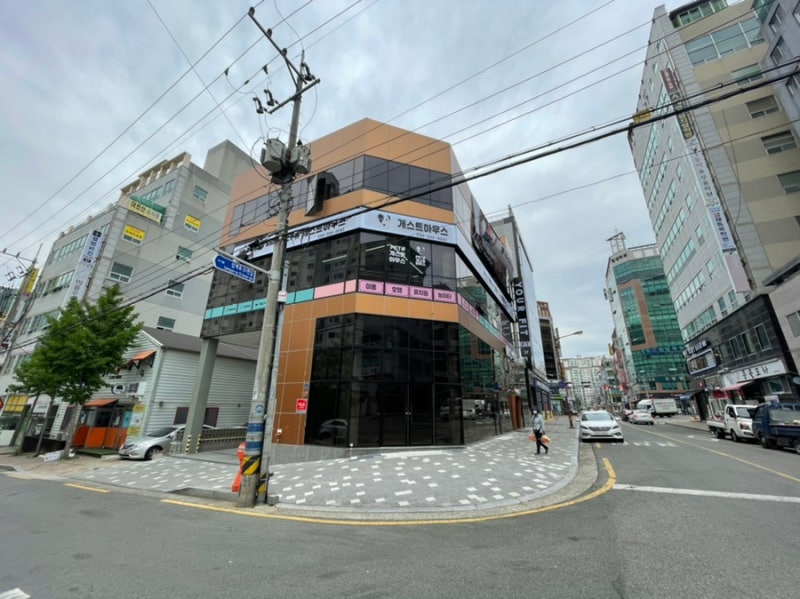 펫샵 개스트하우스