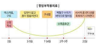 항암제 피부부작용 탈모 구내염피부염 햇빛 대처방법 간호진단 부작용감소