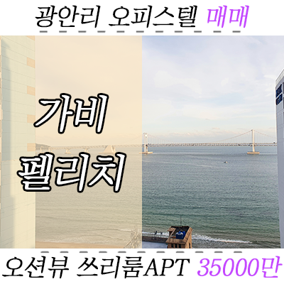 광안리 가비펠리치 오피스텔의 오션뷰 쓰리룸 "아파트"호실 매매 광안리 가비펠리치 오피스텔의 오션뷰 쓰리룸 "아파트"호실 매매