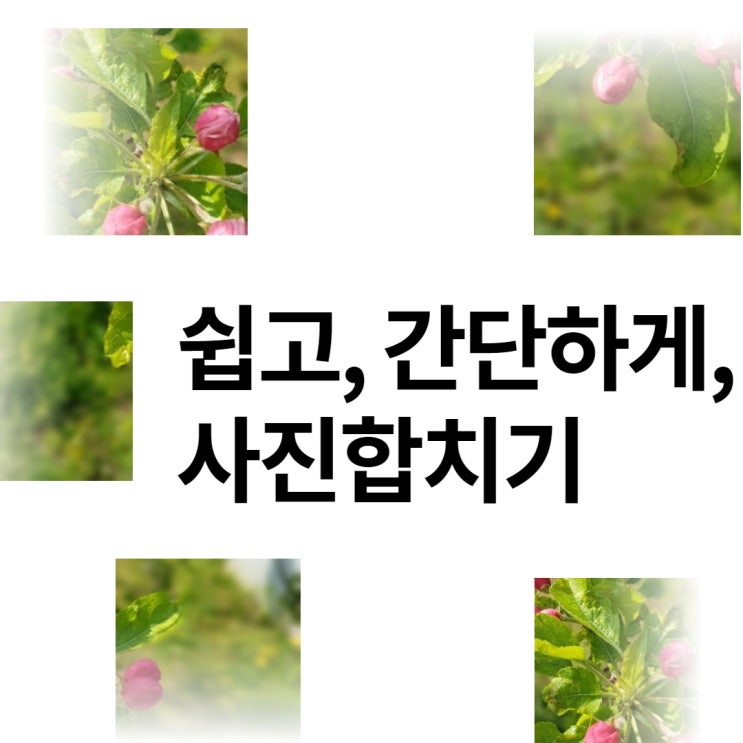  무료 사진편집 프로그램 추천, 사진합치기 방법과 예제