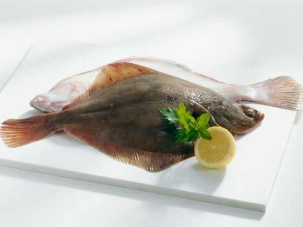 5월 제철 회,  봄철 생선 횟감 종류, 입맛 돋우는 수산물 해산물 음식