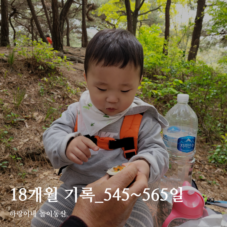 18개월 아기 성장발달 육아일기 545~565일/귀지 제거&귀청소, 주말 등산, 뒷짐, 그림 맞추기 게임