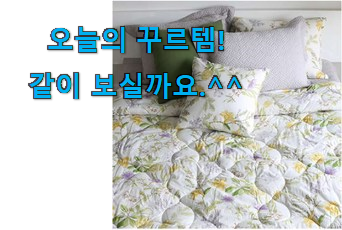 유튜브에서도 난리난 그 상품! 골라골라 크리스피바바 방석 클릭 이네용 후회 안할겁니다 ㅎㅎ 유튜브에서도 난리난 그 상품! 골라골라 크리스피바바 방석 클릭 이네용 후회 안할겁니다 ㅎㅎ