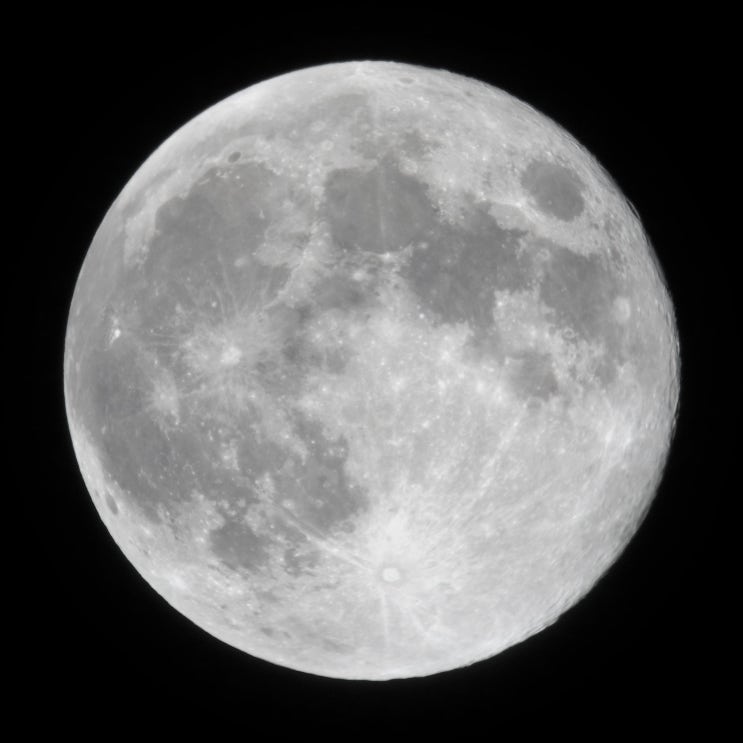  달빛 속에서 춤을! Dancing in the Moonlight