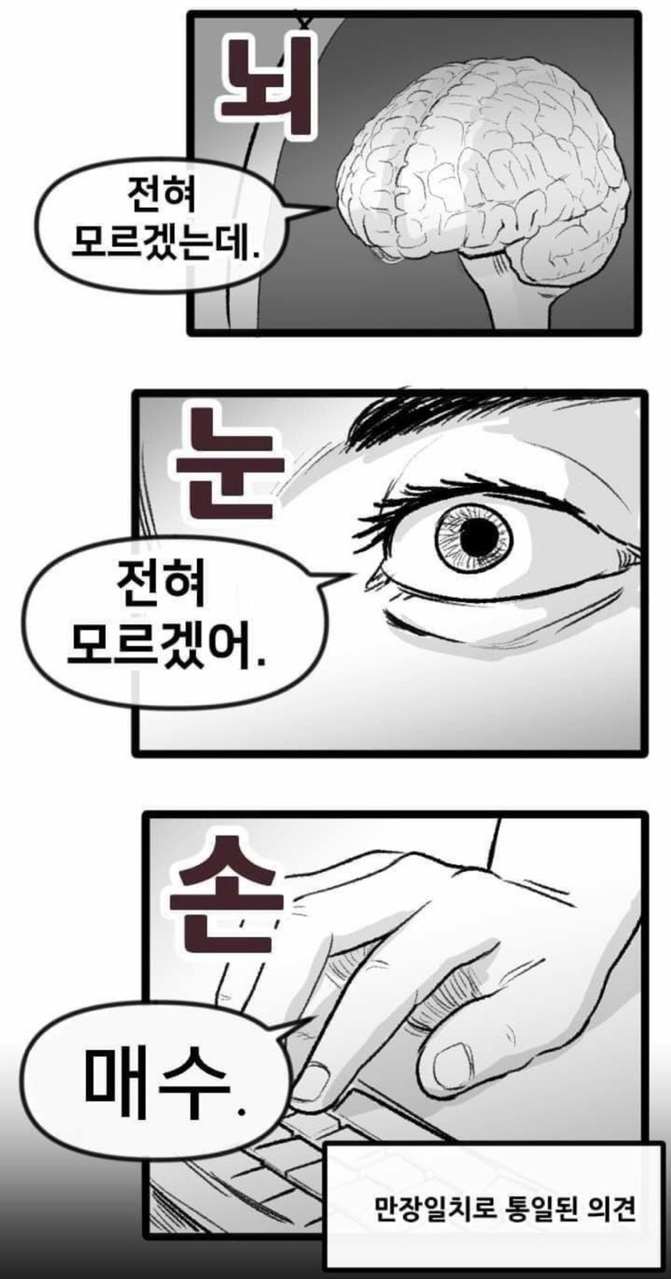 비트코인 관련 짤 모음 : 네이버 블로그
