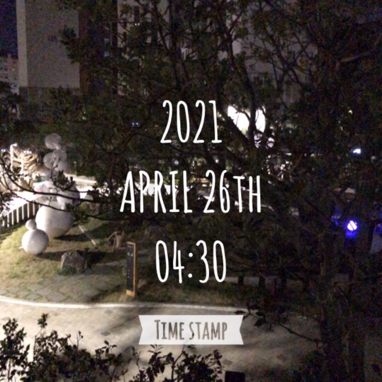  나만의 알찬 하루 만들기 프로젝트 (35일차)