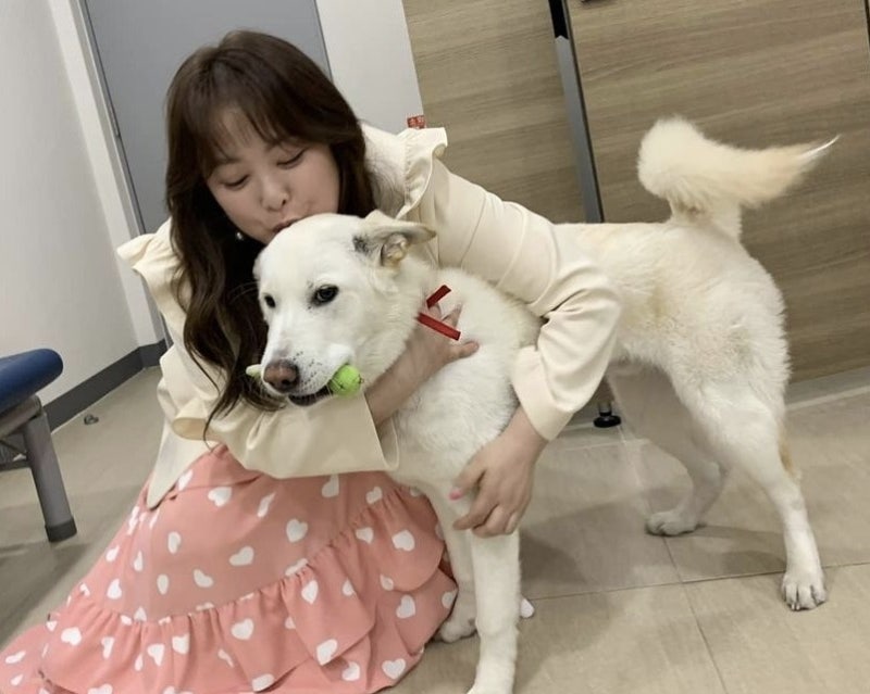 옥탑방의 문제아들 김원효 나이 아빠 차(자동차)자녀 심진화 시험관 인스타그램❤고향 심진....