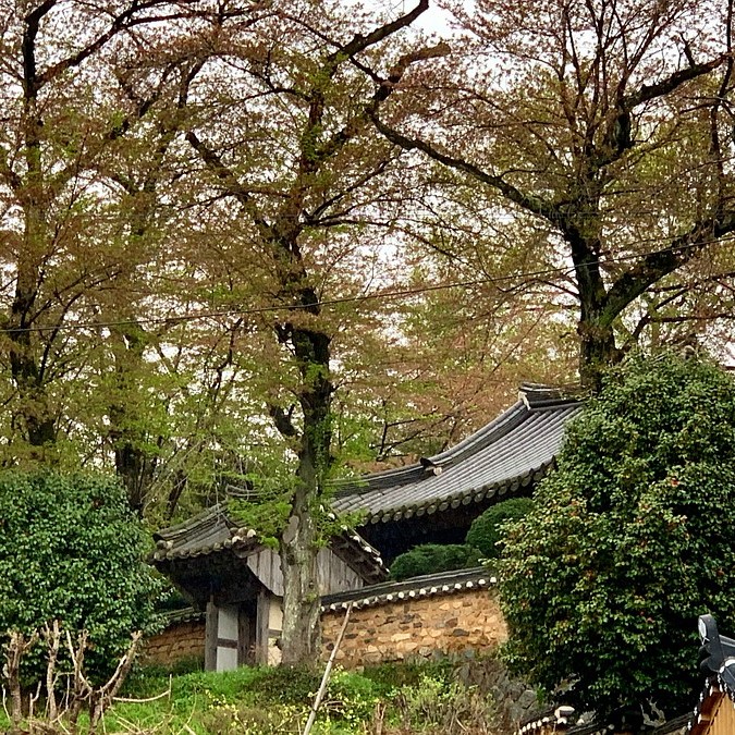   #210427 광주여행 - 매곡동, 김용학 가옥