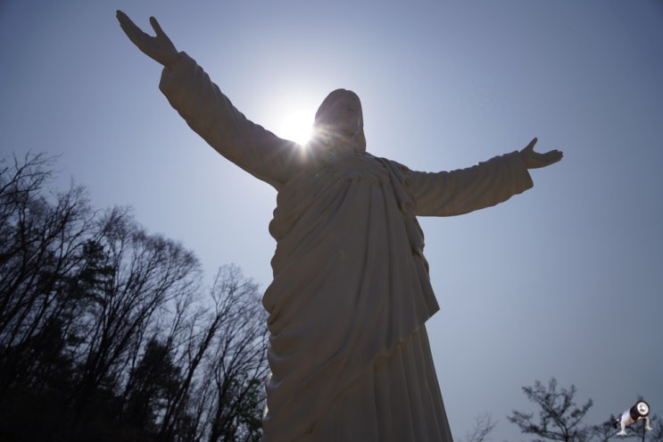 충북 음성 감곡 가볼만한곳 여행 매괴성모순례지성당 천주교성지