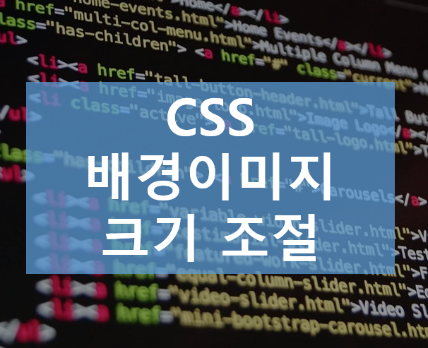  CSS / 배경이미지 크기 조절