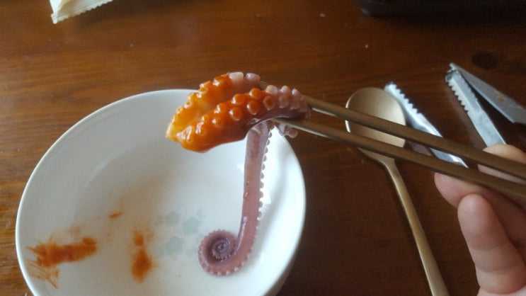  맛있는 강화도 뻘낙지 효능및부작용