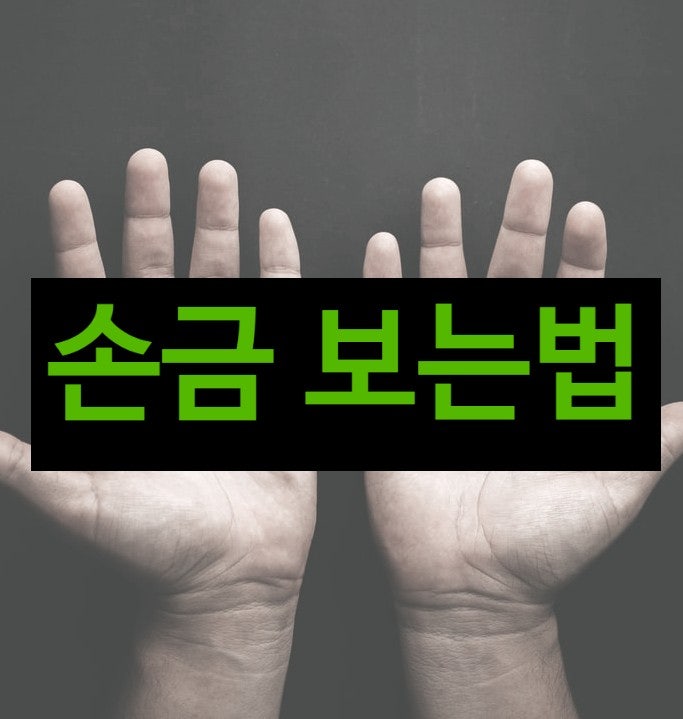  손금보는법 재물손금 두뇌선 생명선 결혼선 성공선
