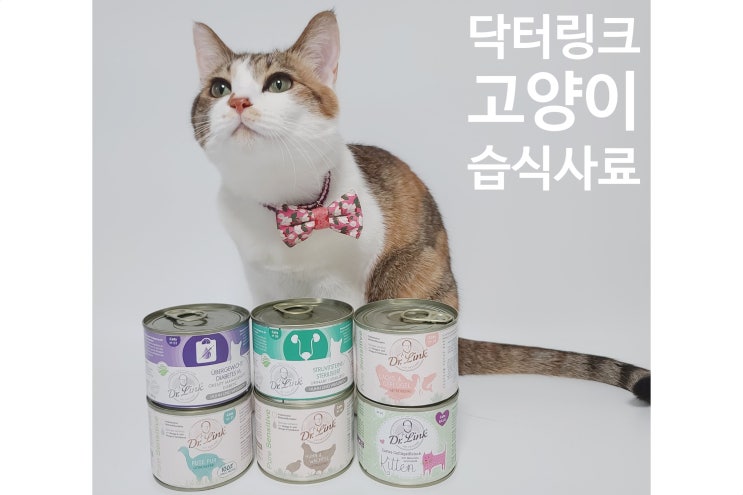  닥터링크 고양이 습식사료.