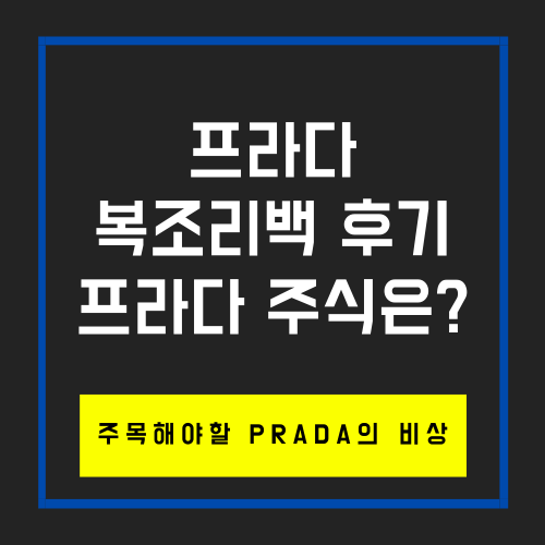  프라다 듀엣 리나일론 숄더백 구입후기, 프라다 주식이 있을까?