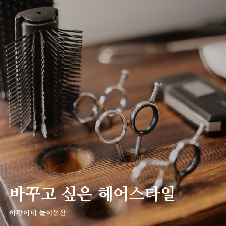  4월27일의 블로그씨 : 새롭게 바꾸고 싶은 헤어스타일, 애쉬염색과 S컬펌