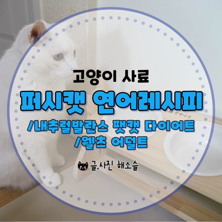  고양이 사료 : 퍼시캣 연어 레시피 vs 내추럴발란스 팻캣 다이어트,웰츠 어덜트캣 비교