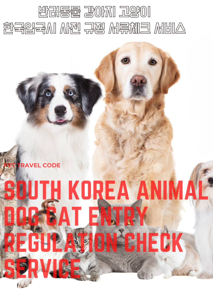  강아지해외운송 반려동물 고양이 해외운송 강아지 반려견 반려묘 입국 고양이입국