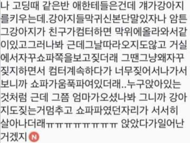  짧은 괴담 모음