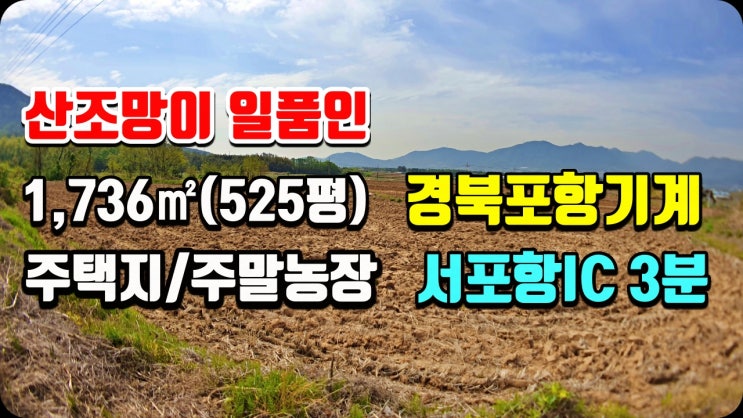 포항토지매매 기계면 전원주택지 주말농장으로 추천하는 잘생긴 논 525평(시골집매매 촌집매매 전원주택매매 급매 전문 착한부동산) 포항토지매매 기계면 전원주택지 주말농장으로 추천하는 잘생긴 논 525평(시골집매매 촌집매매 전원주택매매 급매 전문 착한부동산)
