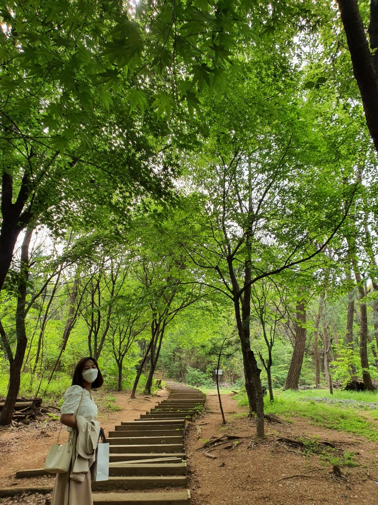 서울 걷기 좋은 길 - 온갖 식물의 풍경이 가득한 강서구 봉제산둘레길 산책