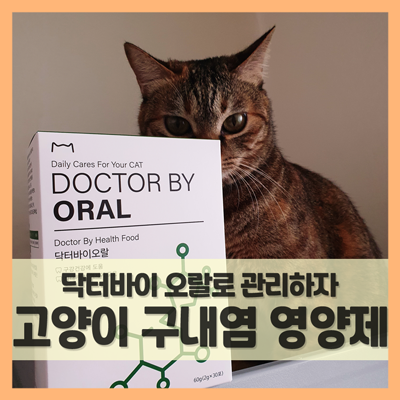  고양이 영양제 닥터바이 오랄, 입냄새 제거와 구내염 예방약으로도 좋아