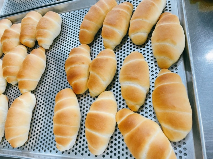  [내일배움카드 제과제빵기능사]Day8 버터롤 만들기