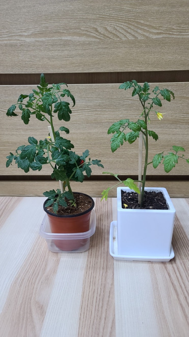  23개월 아기 일상 713일