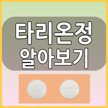 타리온정 10mg 알러지약 효능효과및 부작용과 주의사항 알아봅시다