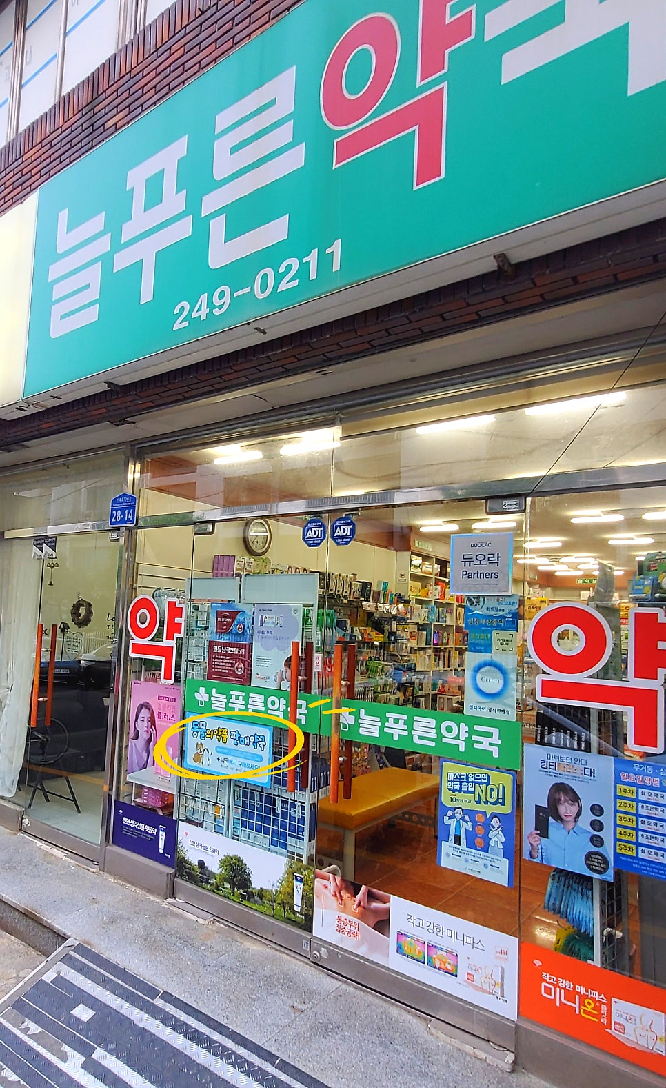 늘푸른약국 사진
