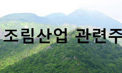  목재선물도 상승?! 그럼 조림산업 관련주도 상승? 조림사업 알아보기!