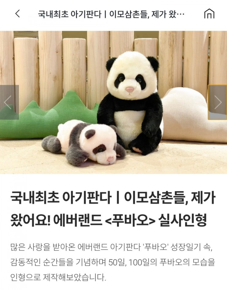  푸바오 50일, 100일 기념인형 #와디즈 #푸바오생일파티초대