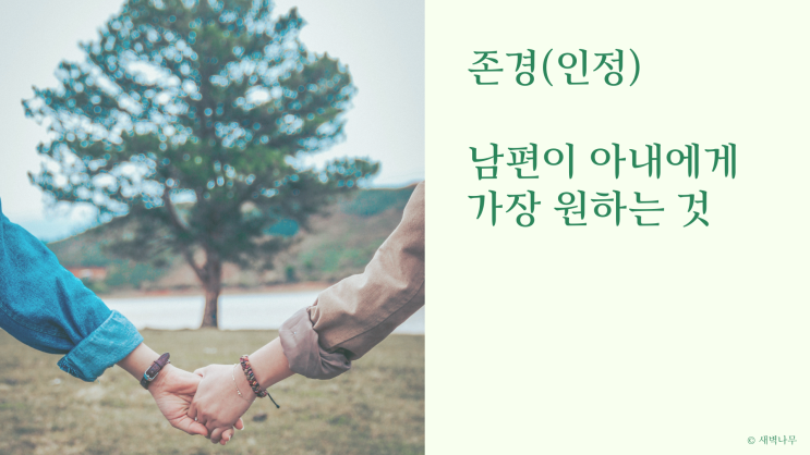  남편을 존중하기