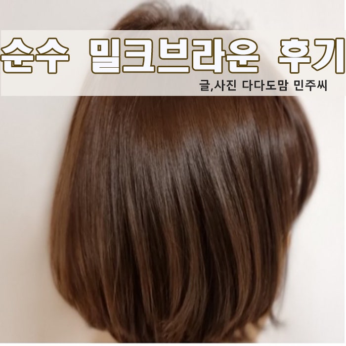 [셀프염색] 순수 밀크브라운 직접사용후기