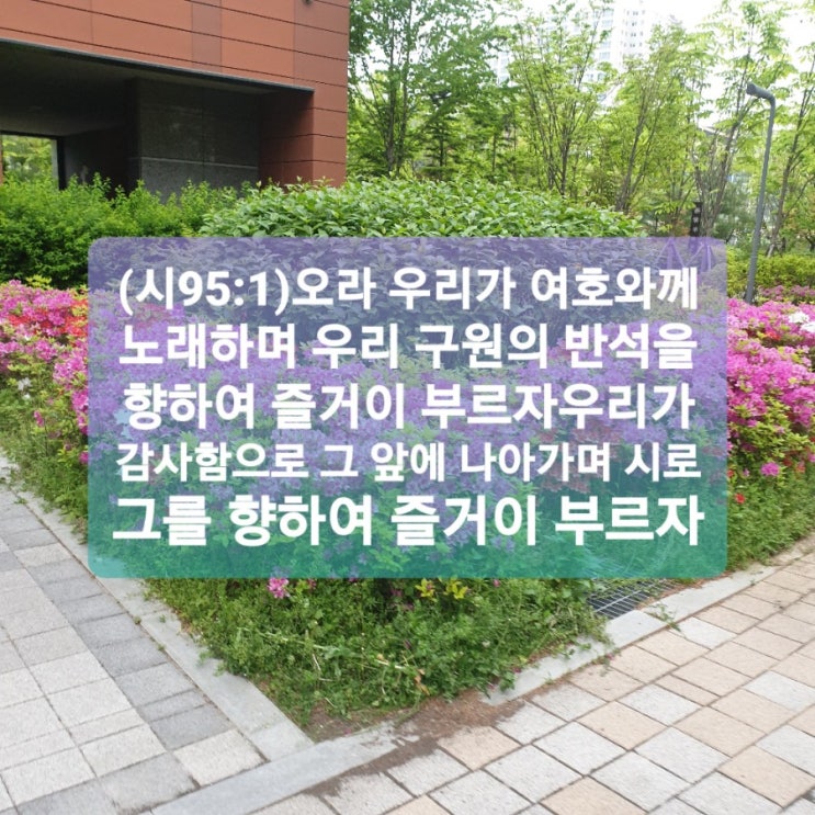  감사함으로