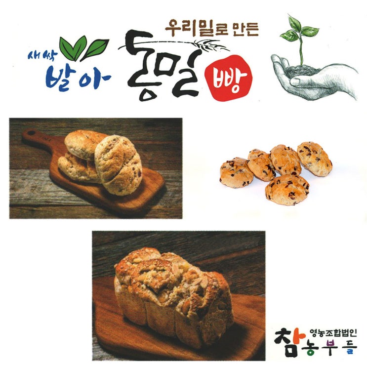 가성비갑 [참농부들]우리밀 100% 새싹발아 통밀빵/주문후 바로 구워 발송 해드립니다., 우리밀 식빵(소)_1개 추천합니다