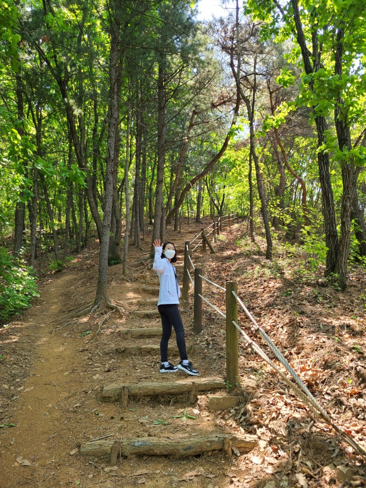  산린이 박달산 파주 등산 다녀오다!(정상까지 못 감)