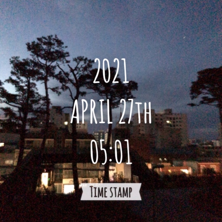  나만의 알찬 하루 만들기 프로젝트 (36일차)