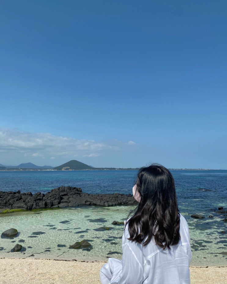  [ 제주도 ] 섬 속의 섬, 우도여행 , 코스 및 전기차 추천